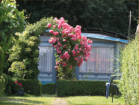 Blumenschmuck am Wersewinkel